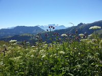 Rochers de Naye to Leysin 7 Aug